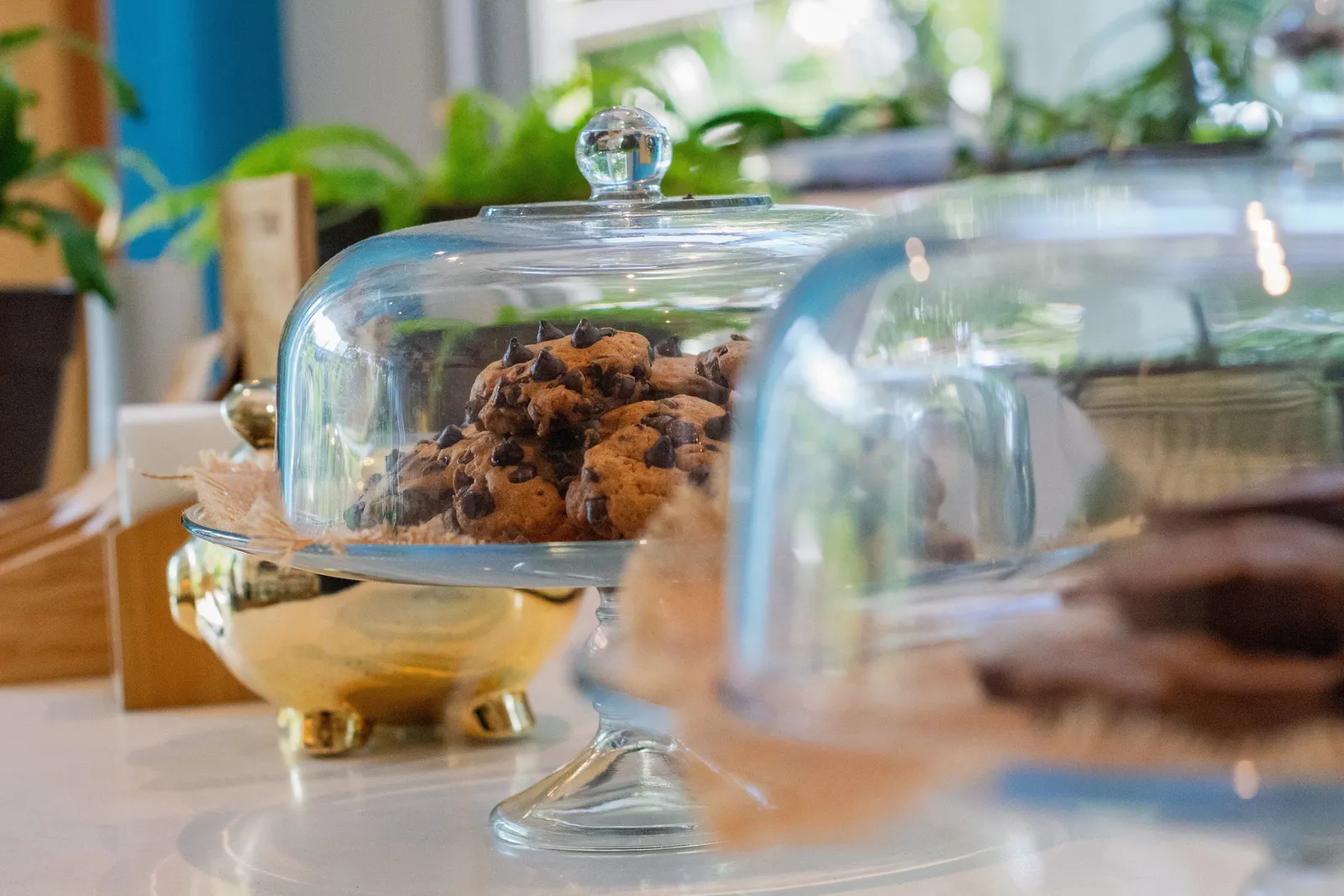 a cake with chocolate chip cookies on it